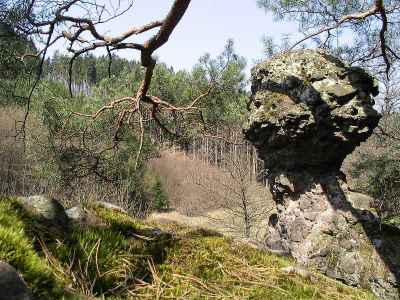 05/0503e01.jpg