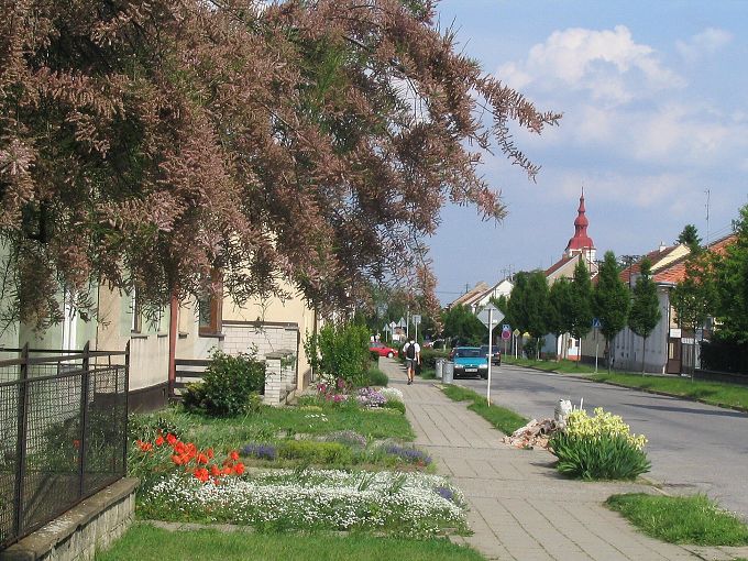 Rozkvetl� proch�zka 2005 - Mod�ice, Bene�ova (Tamary�ek)