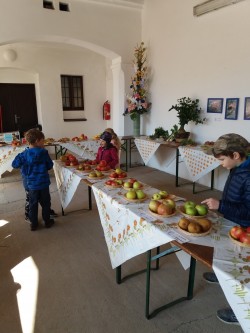 výstava "Zahrádkářů"