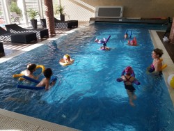 Plavání v Hastrmánku