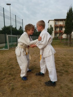 arti marzial - judo