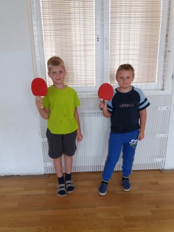 tennis da tavolo