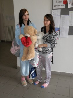 Krásní mazlíci (plyšoví). 