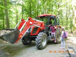 Traktor zrovna přiváží zvěři krmnou řepu